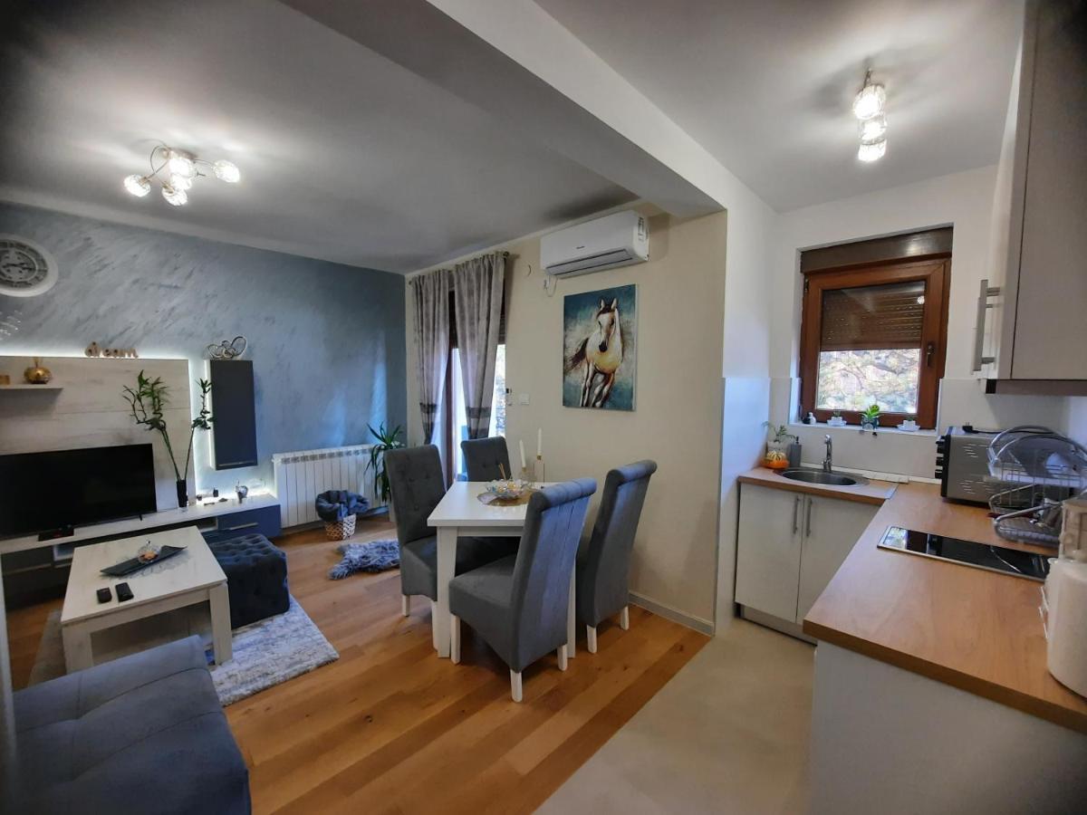 Apartman Koricanac Vrnjacka Banja Exterior photo